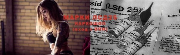 хмурый Пестово