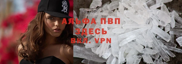 хмурый Пестово