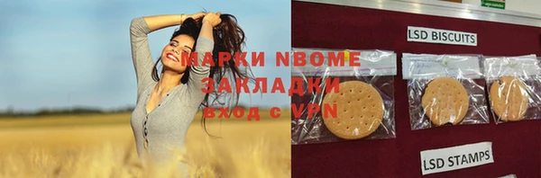 хмурый Пестово