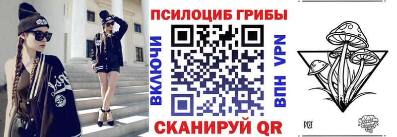 Псилоцибиновые грибы Psilocybe  Купить  Починок 